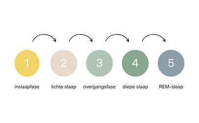 De slaapcyclus schematisch weergegeven en uitgelegd in 5 fases