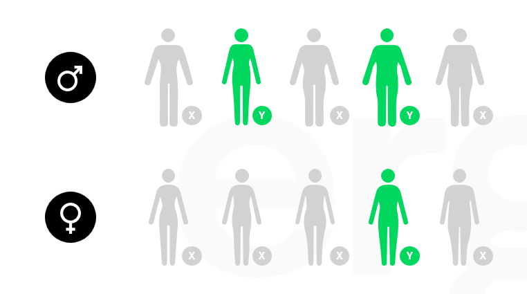 Je lichaamsbouw bepaalt de zonering van de matras